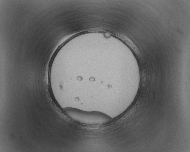 X0000116331036200912291549