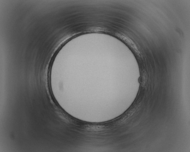 X0000116331039200912291549