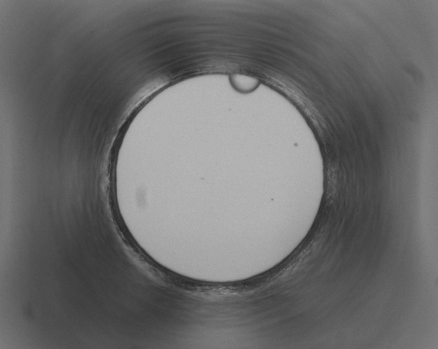 X0000116331042200912291549