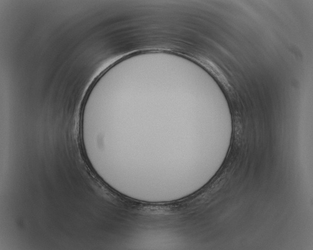 X0000116331044200912291549