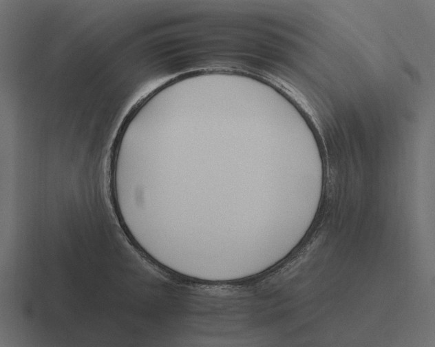 X0000116331045200912291549