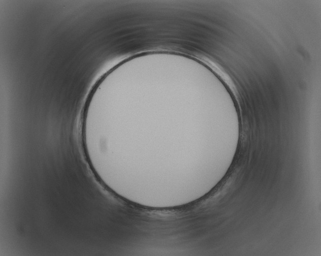 X0000116331053200912291549