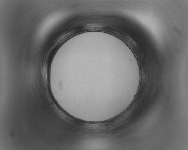 X0000116331054200912291549