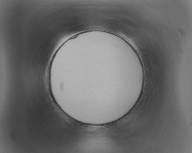 X0000116331056200912291549