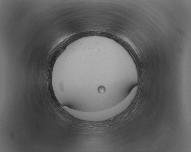 X0000116331064200912291548