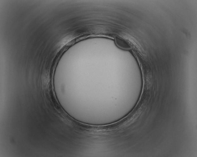 X0000116331065200912291548