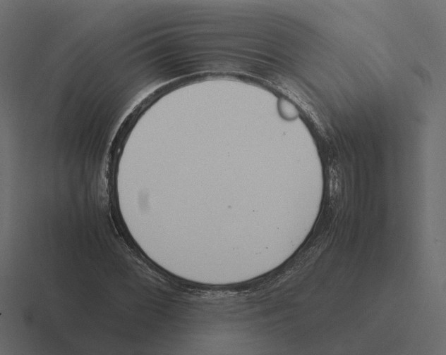 X0000116331068200912291548