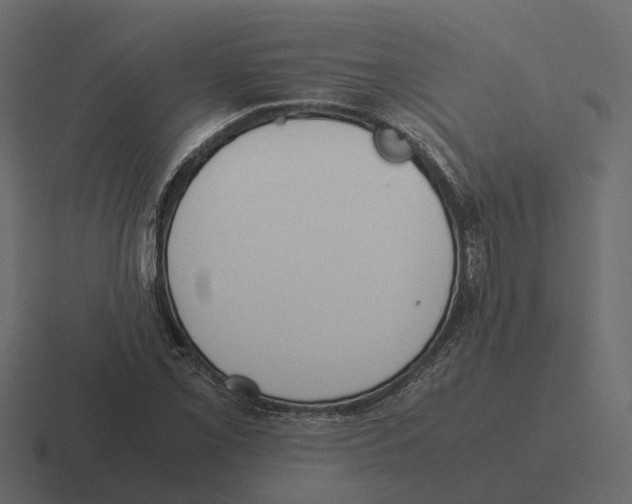 X0000116331069200912291548