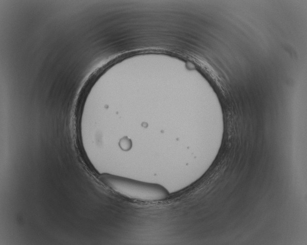 X0000116331072200912291548