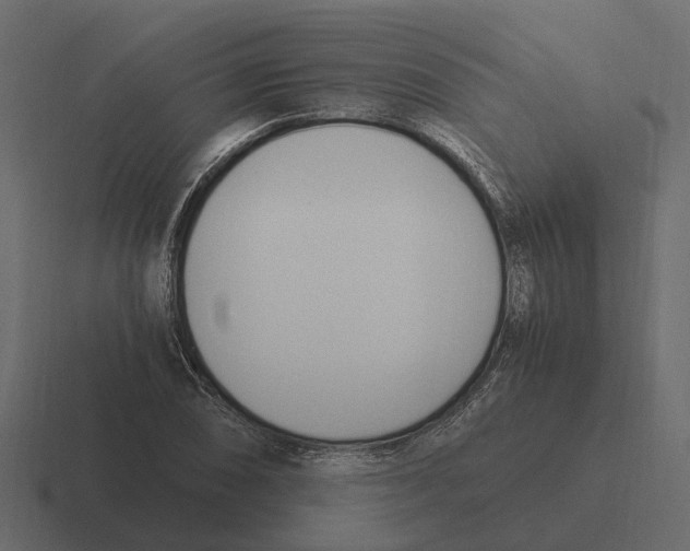 X0000116331074200912291548