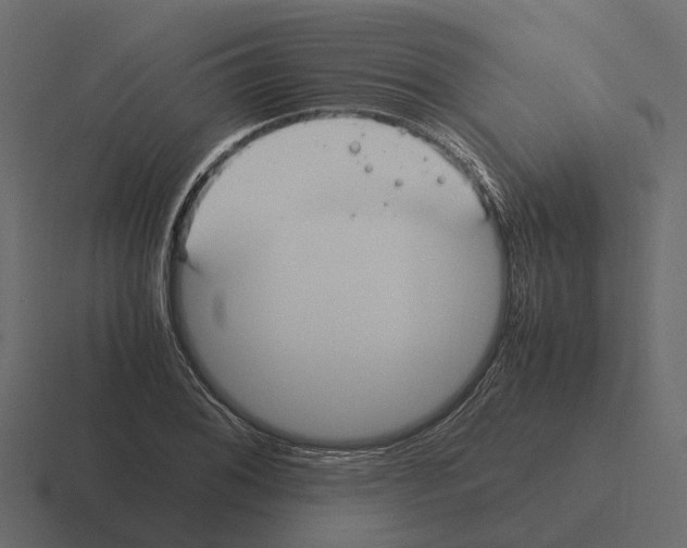 X0000116331076200912291548