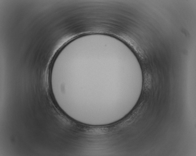 X0000116331078200912291548