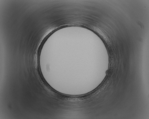 X0000116331079200912291548