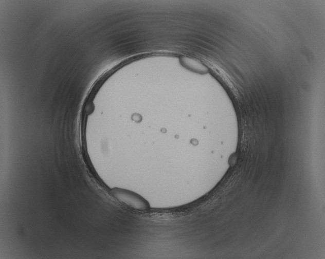 X0000116331080200912291548