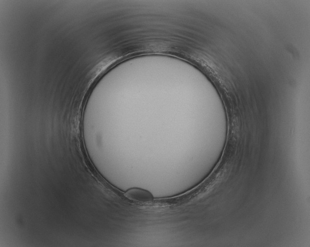 X0000116331081200912291548