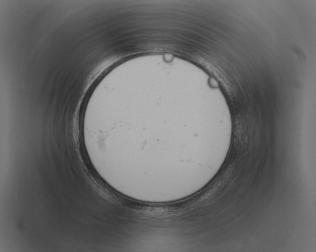 X0000116331082200912291548