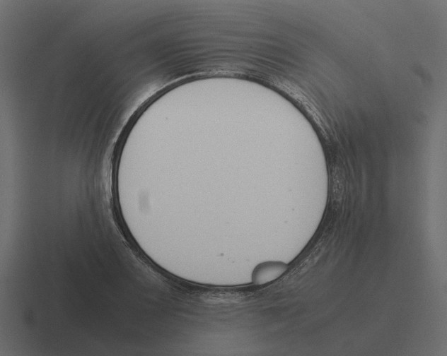 X0000116331083200912291548