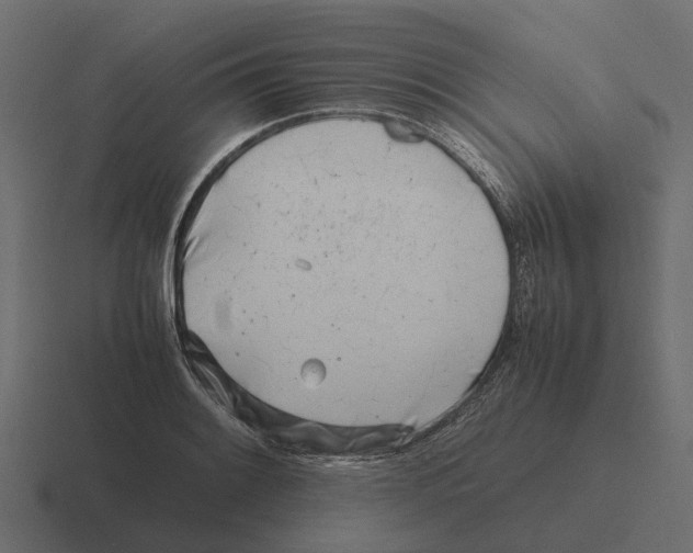 X0000116331084200912291548