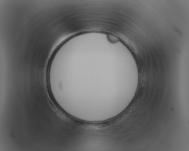 X0000116331086200912291548