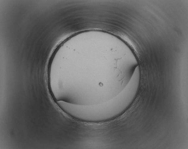 X0000116331088200912291548