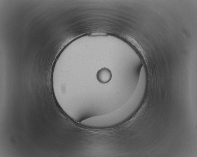 X0000116331089200912291548