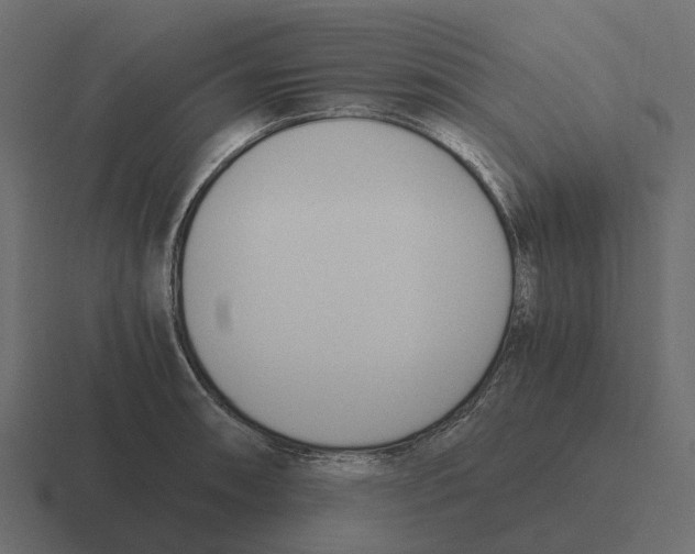 X0000116331090200912291548