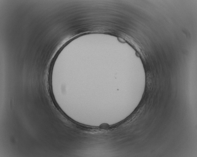 X0000116331091200912291548