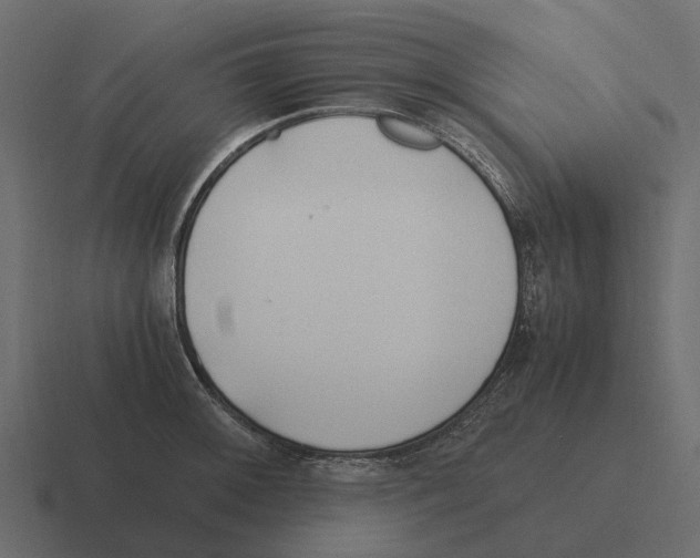 X0000116331092200912291548