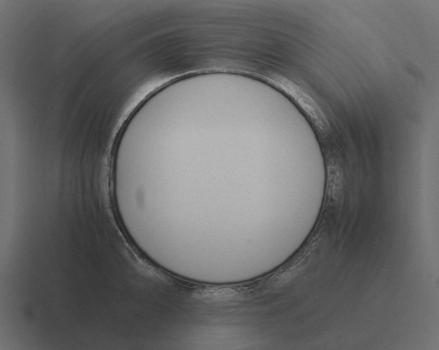 X0000116331094200912291548