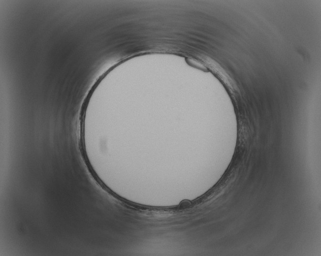 X0000116331095200912291548