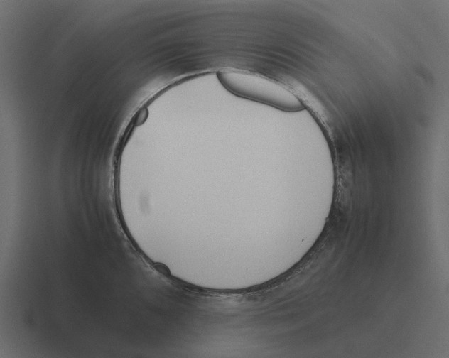 X0000116331096200912291548