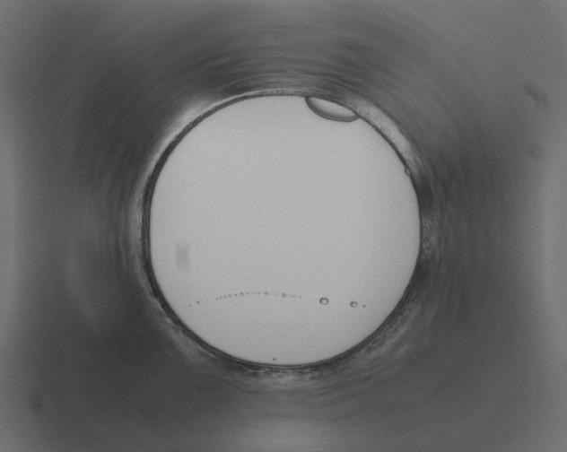 X0000116331099200912291548