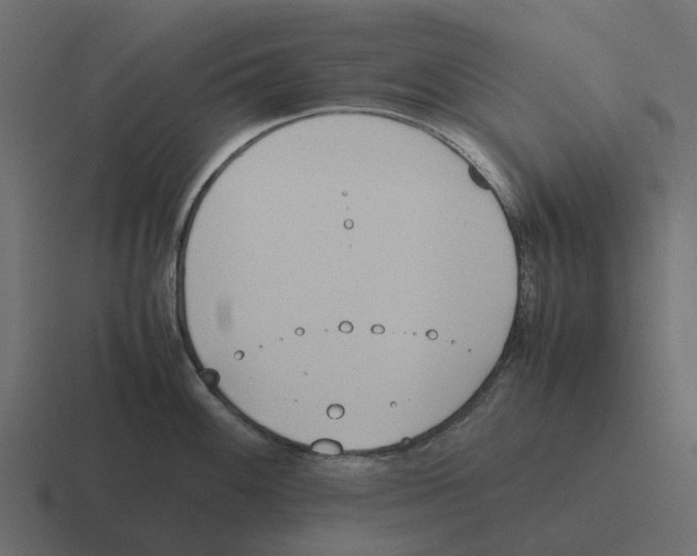 X0000116331100200912291548