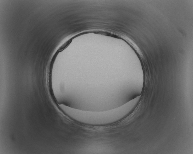 X0000116331101200912291548