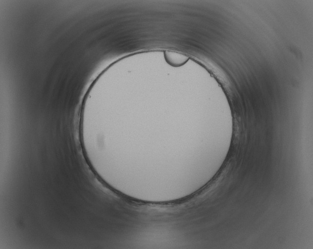 X0000116331102200912291548