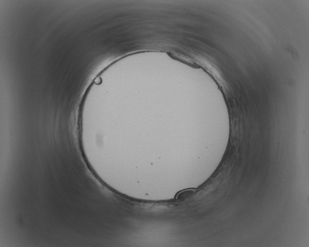 X0000116331103200912291548