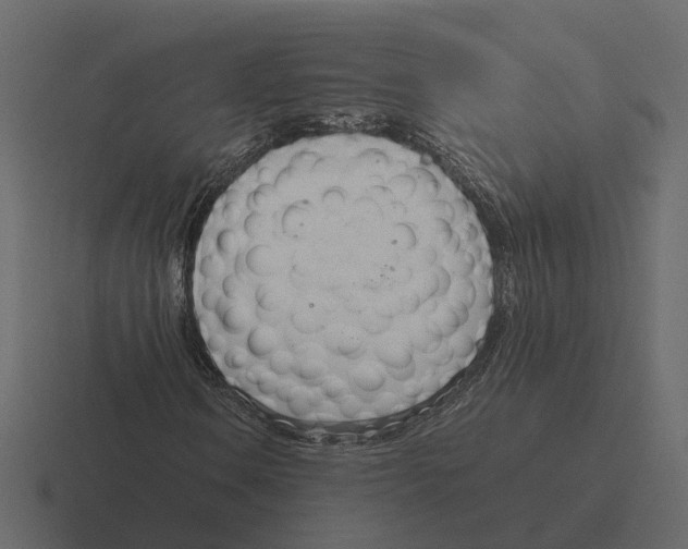 X0000116331106200912291547