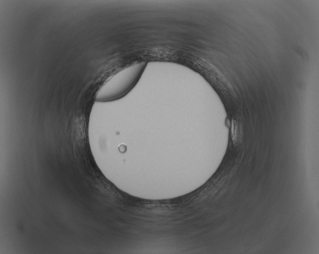 X0000116331107200912291547