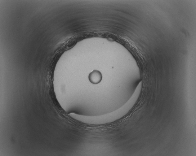 X0000116331110200912291547