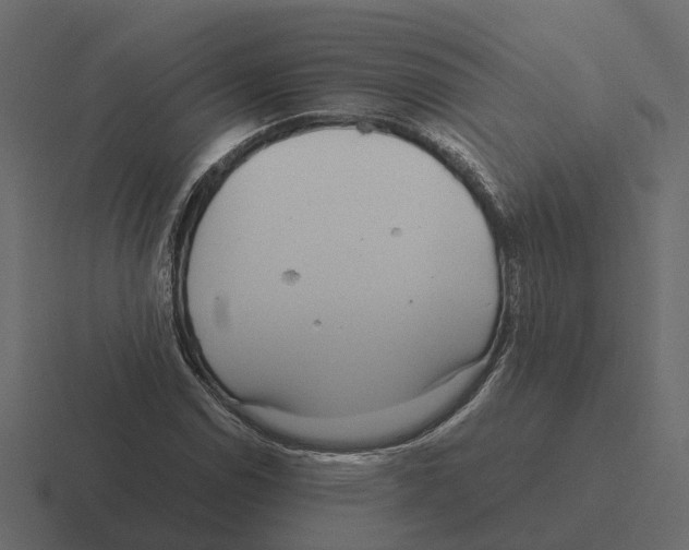 X0000116331114200912291547