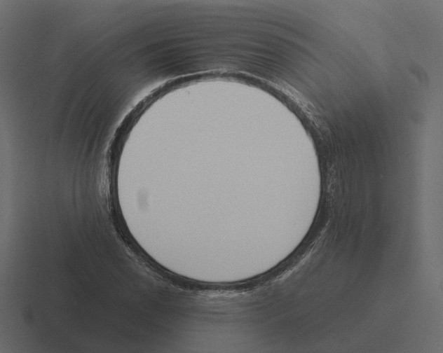 X0000116331118200912291547