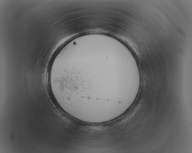 X0000116331125200912291547