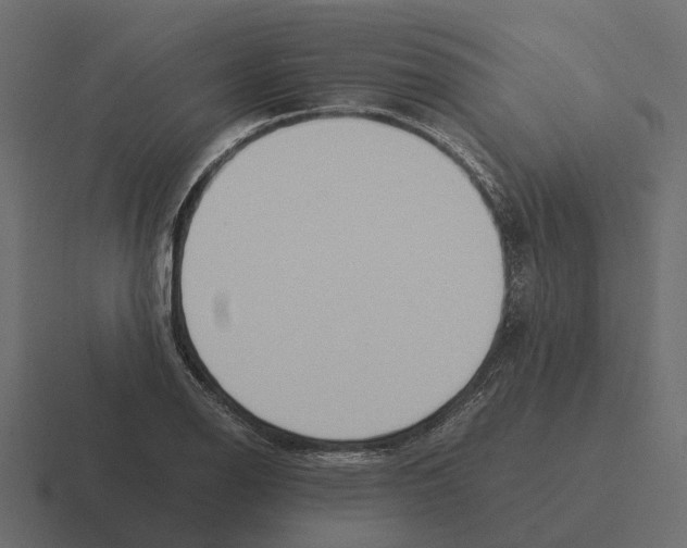 X0000116331126200912291547