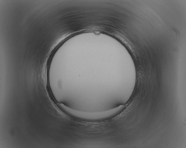 X0000116331127200912291547