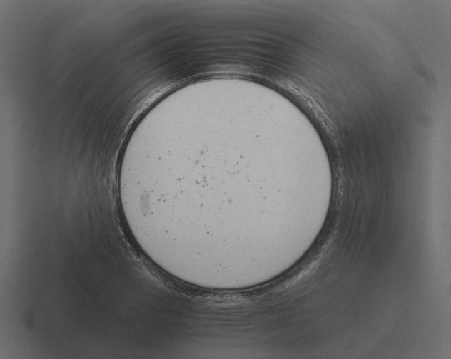 X0000116331129200912291547