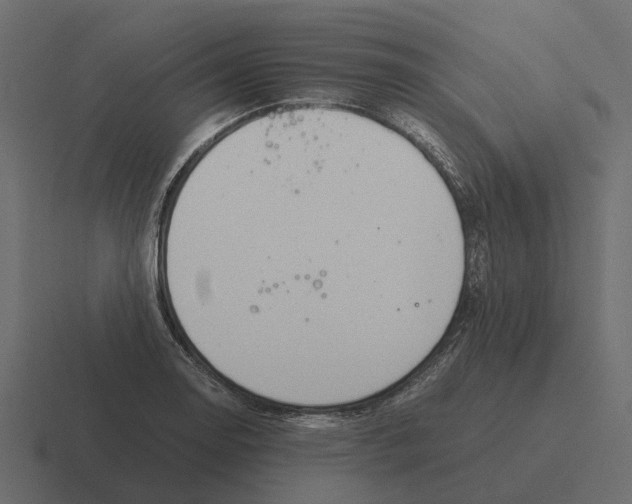 X0000116331130200912291547