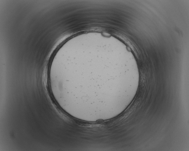 X0000116331131200912291547