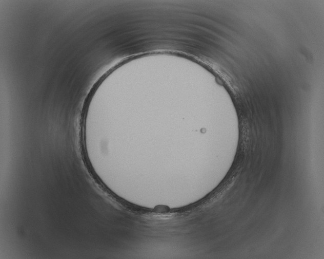 X0000116331134200912291547