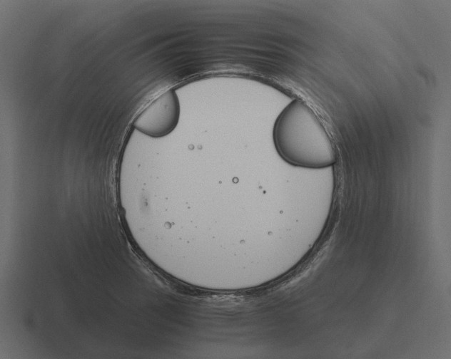 X0000116331137200912291547