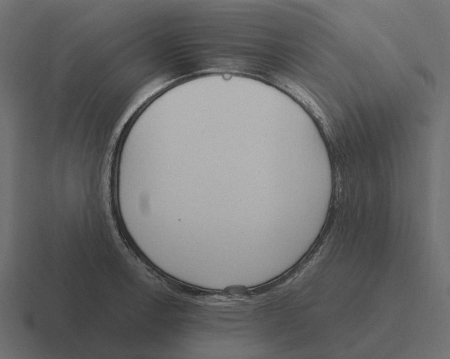 X0000116331138200912291547